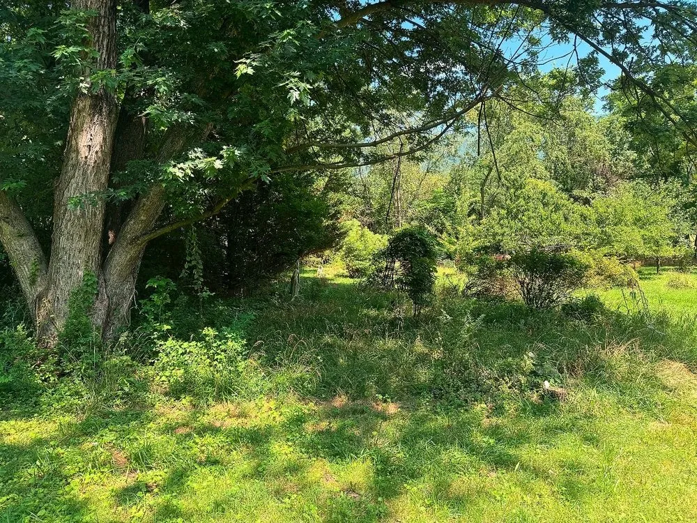 Custom landscape installation in Harrisonburg, VA - N-Z Mowing