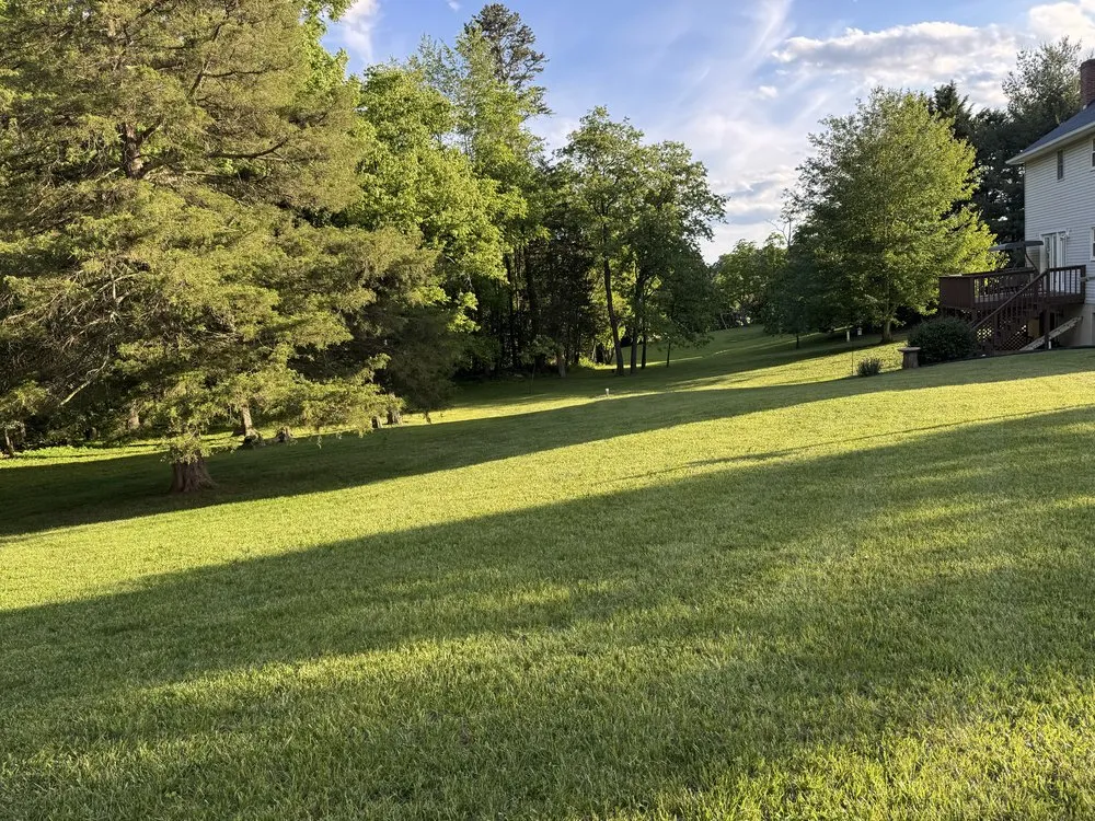 Local lawn care service experts serving Harrisonburg, VA - N-Z Mowing