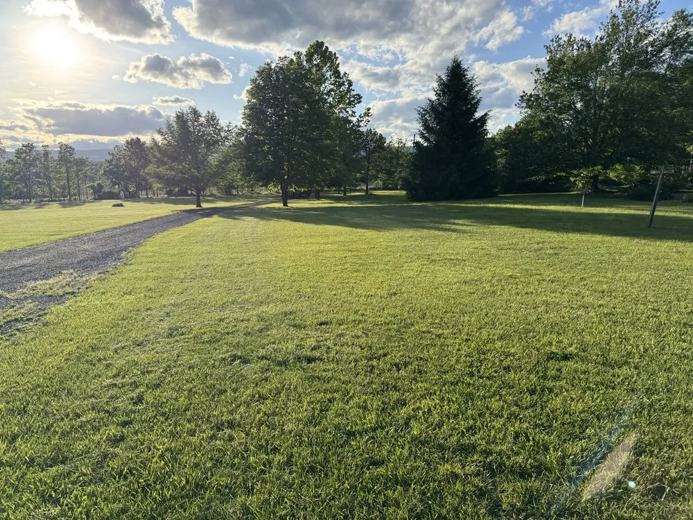Local outdoor landscaping in Harrisonburg, VA by N-Z Mowing