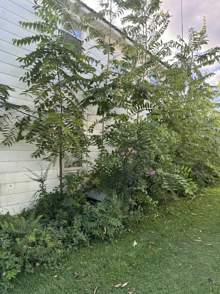 Reliable yard maintenance in Huntington, IN - N2Deep Mowing