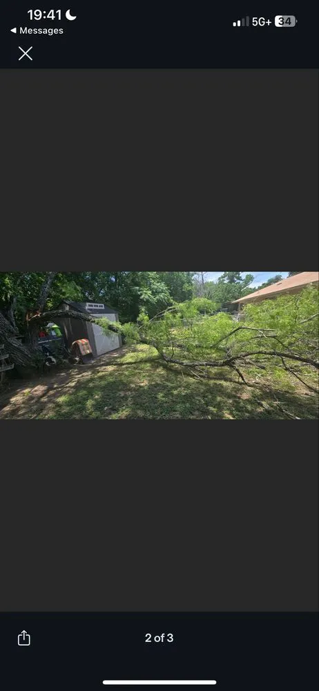 Professional landscape design for year-round maintenance in San Antonio, TX by N8’s LandScape & JunkRemoval