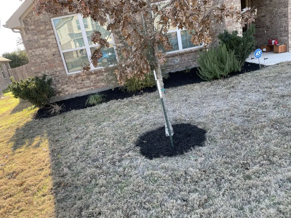 Expert landscape design experts serving San Antonio, TX - N8’s LandScape & JunkRemoval