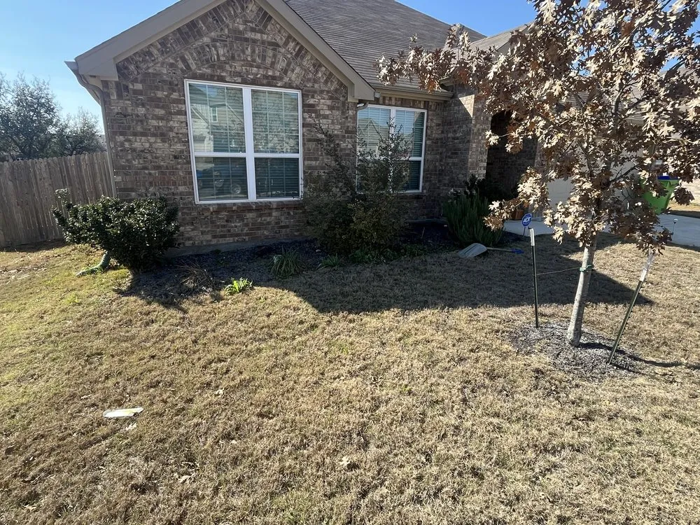 Professional yard maintenance in San Antonio, TX by N8’s LandScape & JunkRemoval