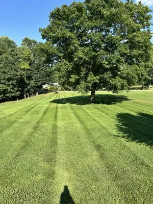 N&A mowing
