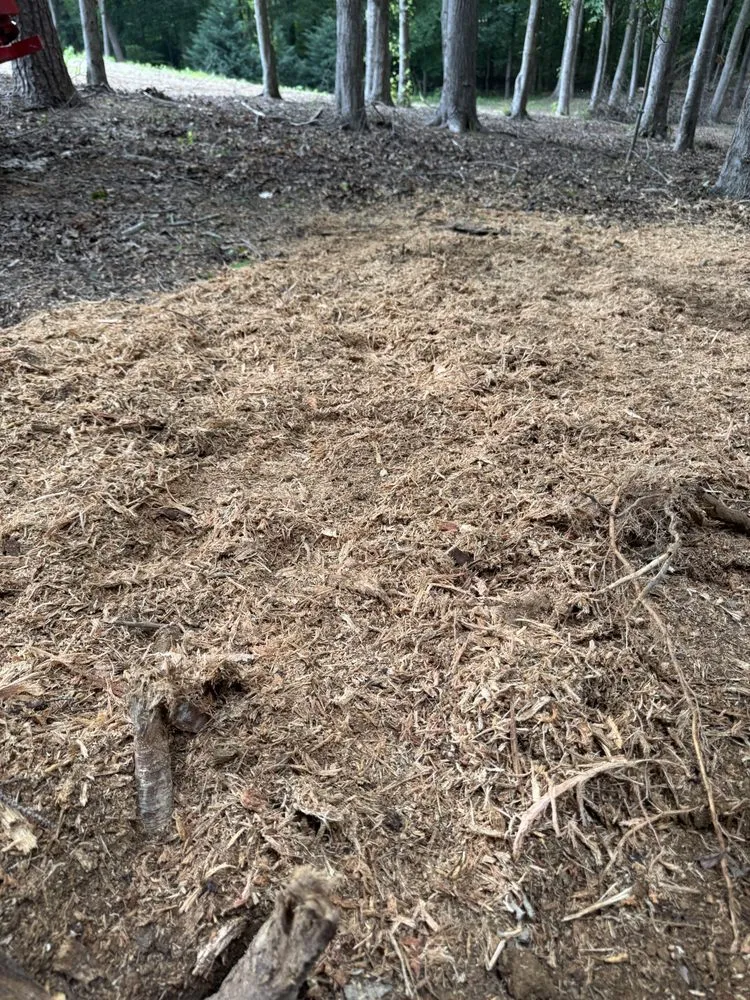 Reliable yard maintenance near you in Mount Airy, NC by NA Property Solutions