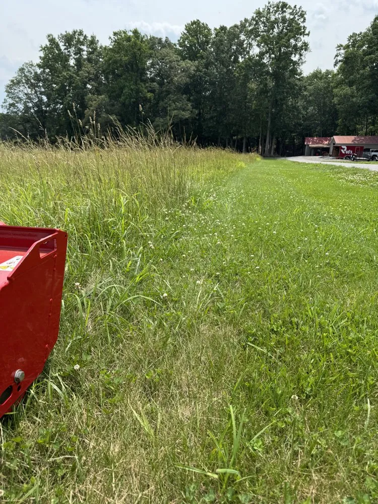 Expert yard cleanup service near you across Mount Airy, NC - NA Property Solutions