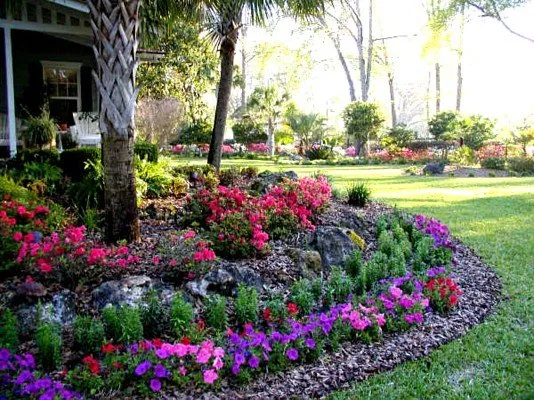 Expert yard cleanup service in Palm Desert, CA - Nabor Landscaping Services