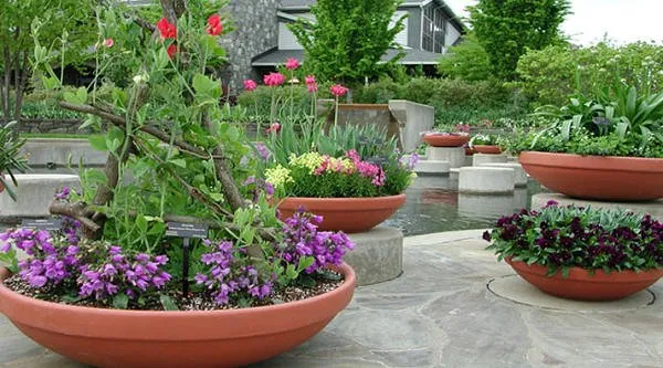 Top-rated garden landscaping for outdoor upgrades in Palm Desert, CA by Nabor Landscaping Services