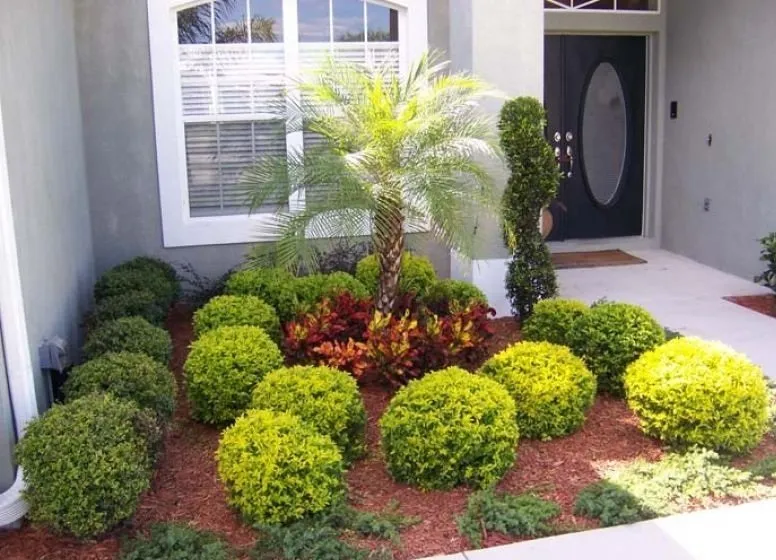 Trusted lawn care service experts serving Palm Desert, CA - Nabor Landscaping Services