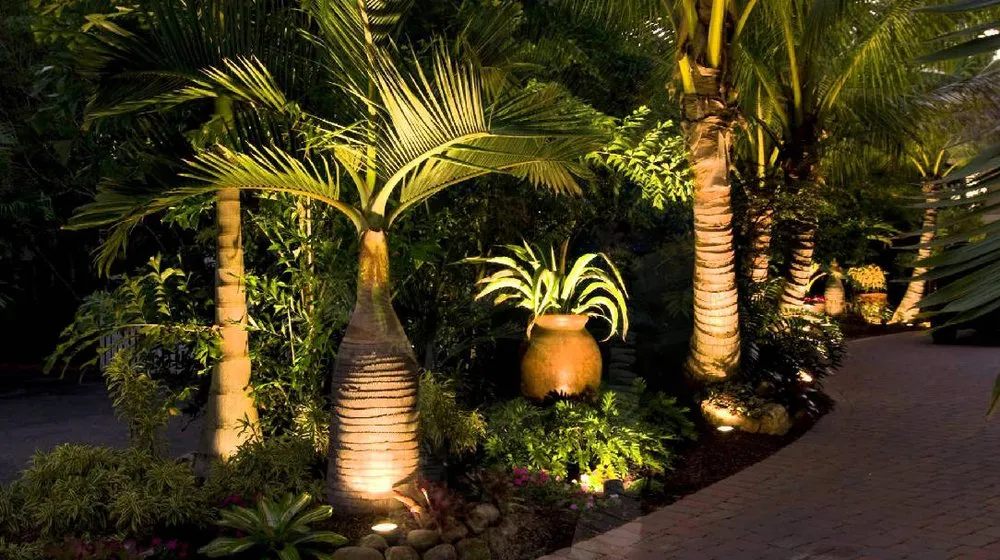Professional landscape design experts serving Palm Desert, CA - Nabor Landscaping Services