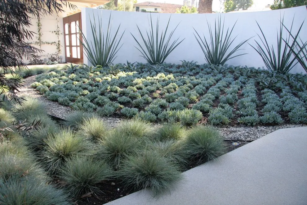 Top-rated landscape installation in Palm Desert, CA by Nabor Landscaping Services