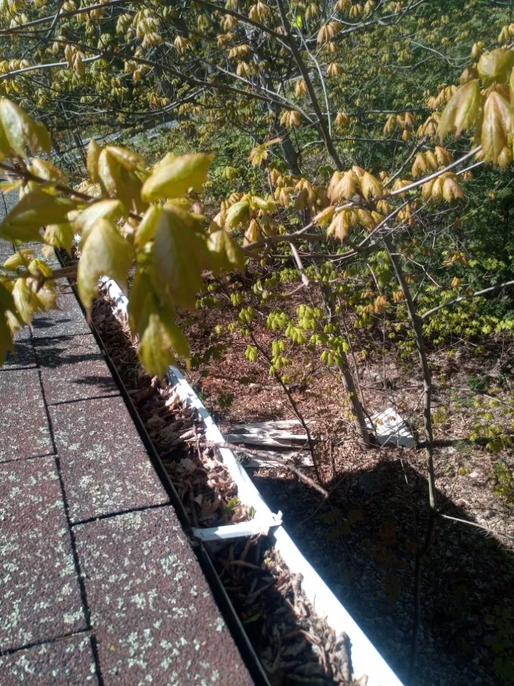 Reliable lawn care service for residential properties across Kingston, NY - Naccarato's Home Improvements & Landscaping