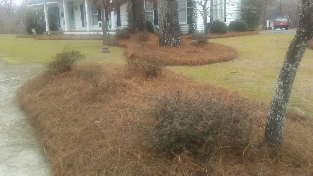 Local yard cleanup service for homes in East Dublin, GA by Nacho's complete land services