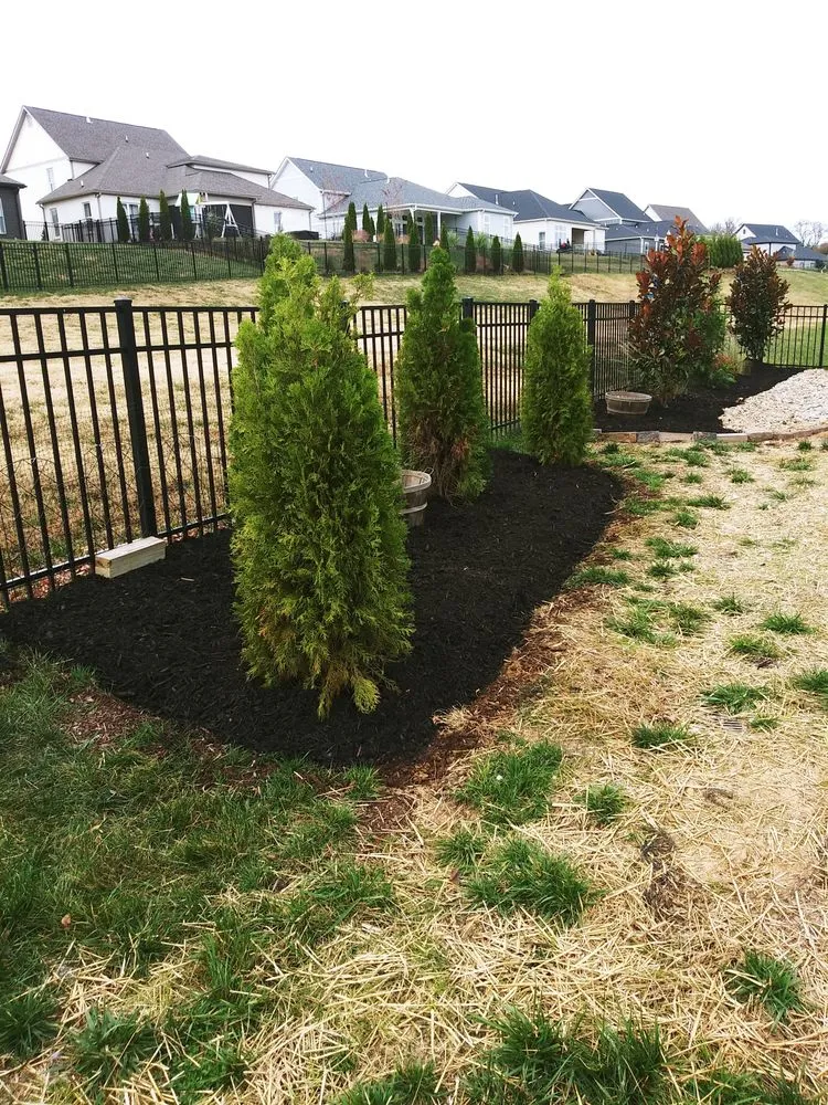 Affordable yard maintenance experts serving Shelbyville, TN - Nachos Landscaping