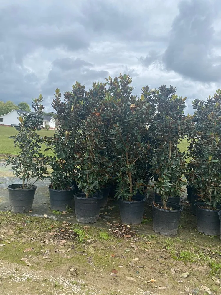 Professional landscape design in Shelbyville, TN by Nachos Landscaping