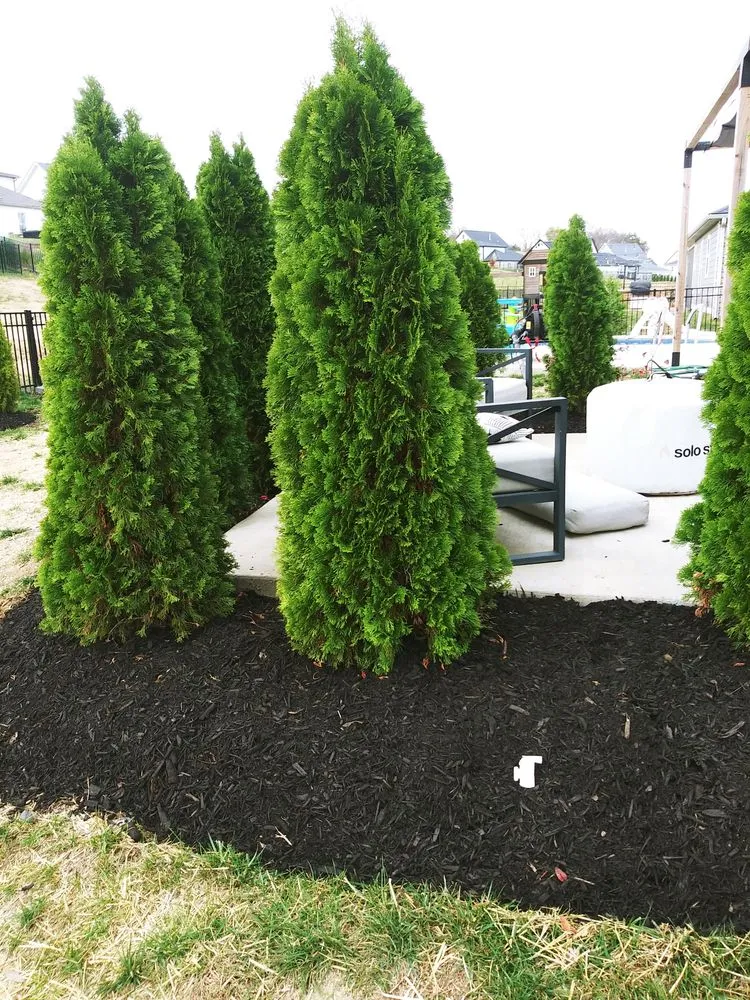 Reliable outdoor landscaping for beautiful yards across Shelbyville, TN - Nachos Landscaping