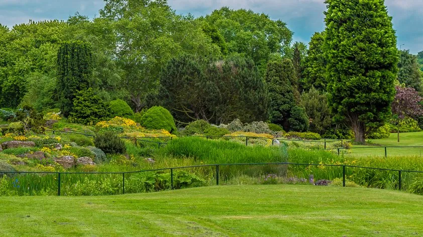 Reliable outdoor landscaping in Merced, CA by Nacho's Lawn Service