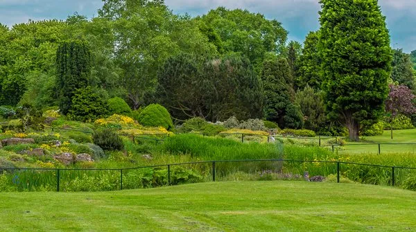 Nacho's Lawn Service Logo