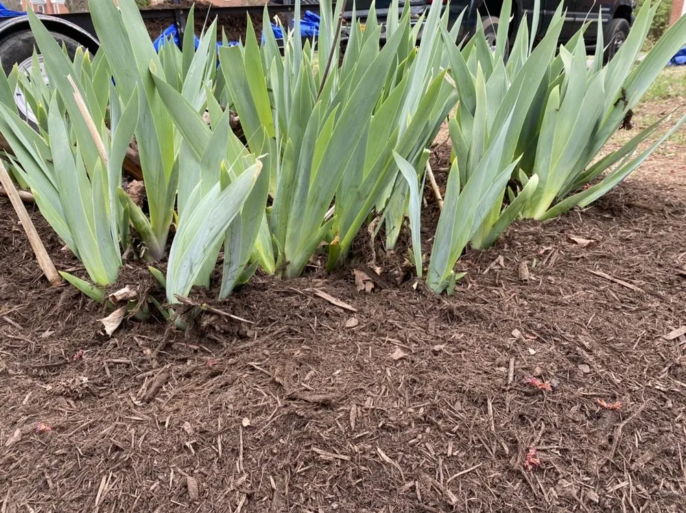 Local lawn mowing service in Roanoke, VA by Nackley's Landscaping