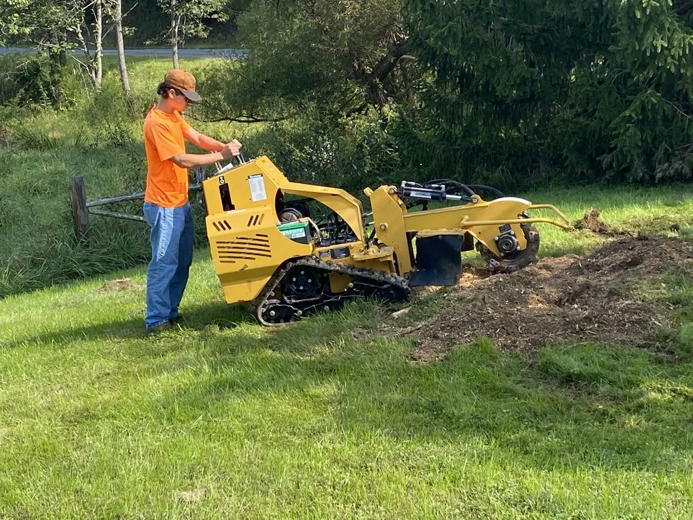 Custom yard cleanup service in Roanoke, VA by Nackley's Landscaping