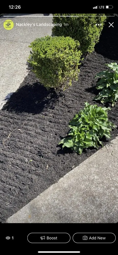 Reliable yard cleanup service for year-round maintenance across Roanoke, VA - Nackley's Landscaping