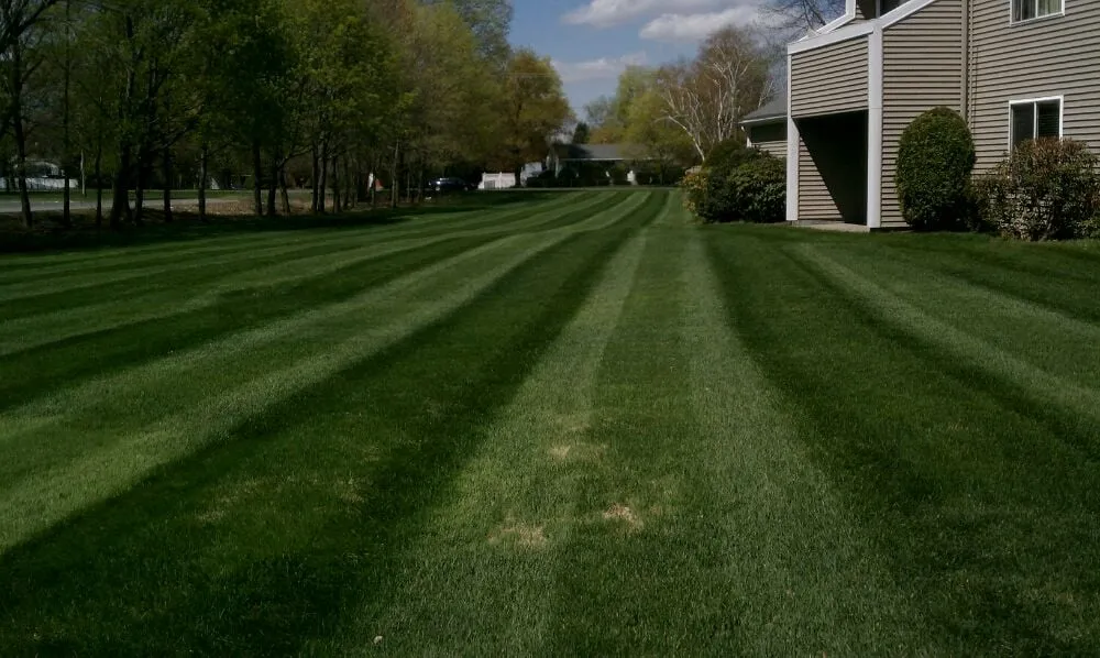 Custom landscape installation for outdoor upgrades in East Longmeadow, MA by Nadeau's Landscaping