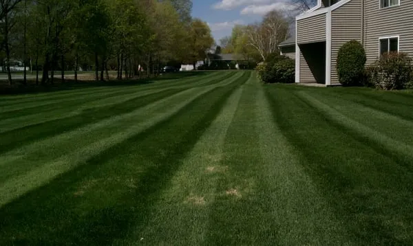 Nadeau's Landscaping