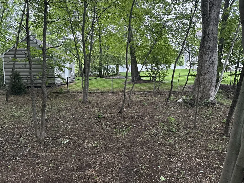 Professional landscaping services with custom design in Taunton, MA by Nadeau’s Landscaping