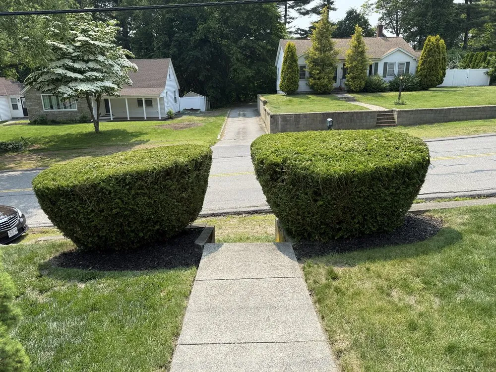 Top-rated landscaping services in Taunton, MA by Nadeau’s Landscaping
