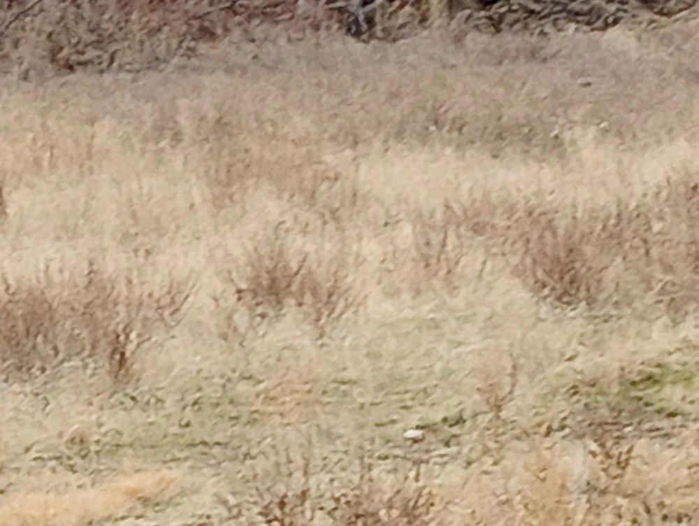 Local outdoor landscaping near you across West Richland, WA - Nader Lawn & Landscape