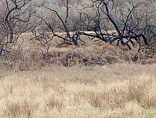 Nader Lawn & Landscape