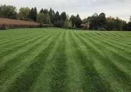 Top-rated garden landscaping experts serving Bolivar, WV - Nae’s Window Cleaning