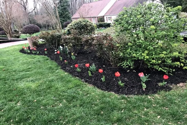 Professional residential landscaping experts serving Greer, SC - Nafziger Residential Landscapes