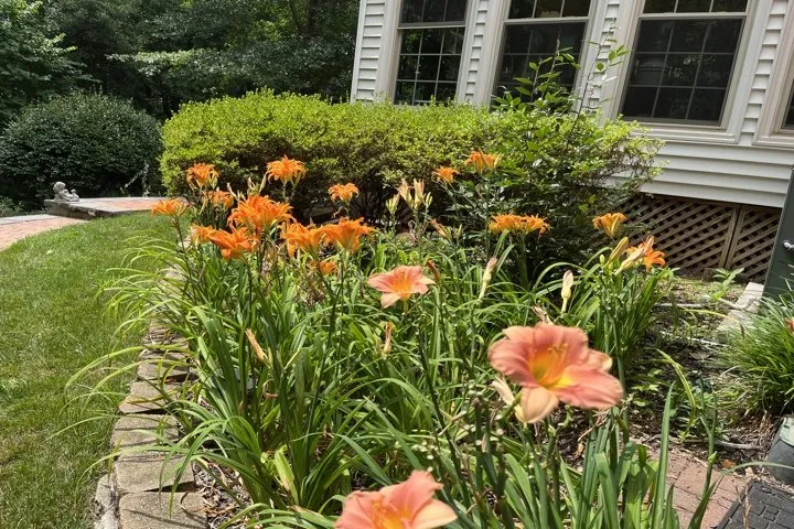 Local lawn mowing service in Greer, SC - Nafziger Residential Landscapes