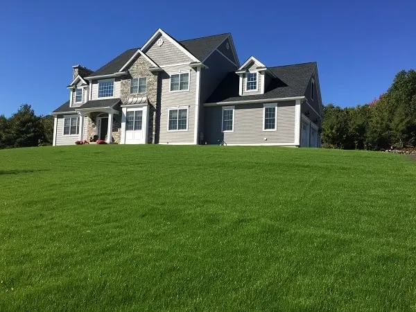 Affordable yard cleanup service for beautiful yards in Palmer, MA by Naglack Landscaping