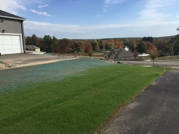 Affordable landscape installation for beautiful yards across Palmer, MA - Naglack Landscaping