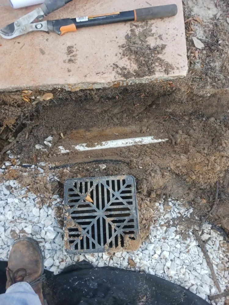 Professional landscape installation in Milton, FL by Nailed It