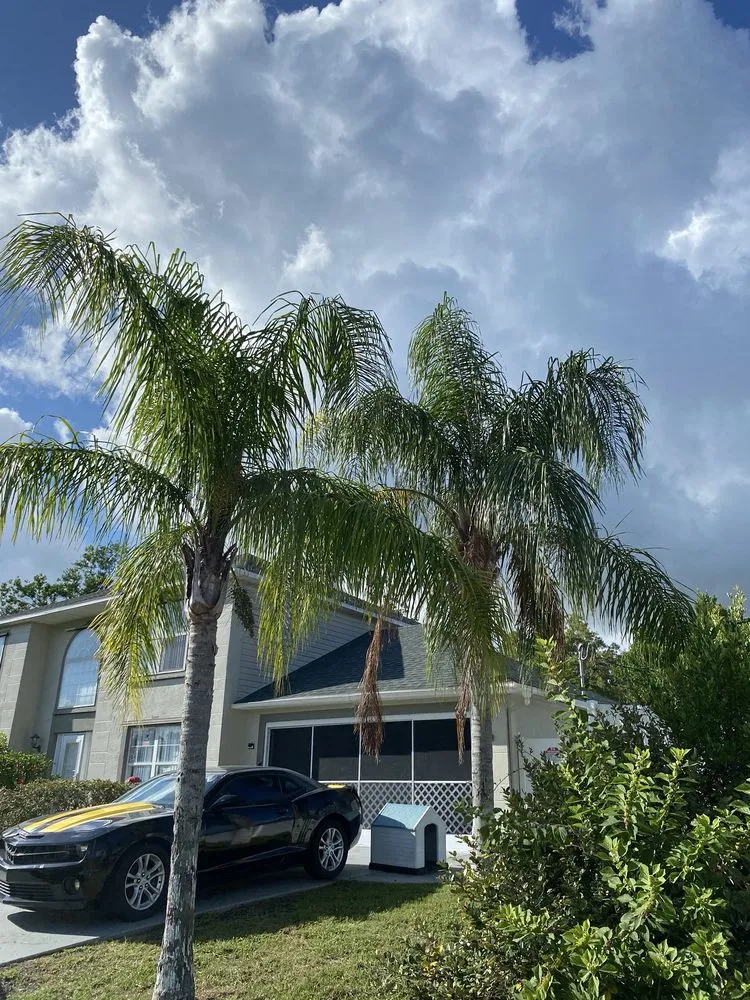 Custom lawn care service in Spring Hill, FL by Nails Landscape & Design