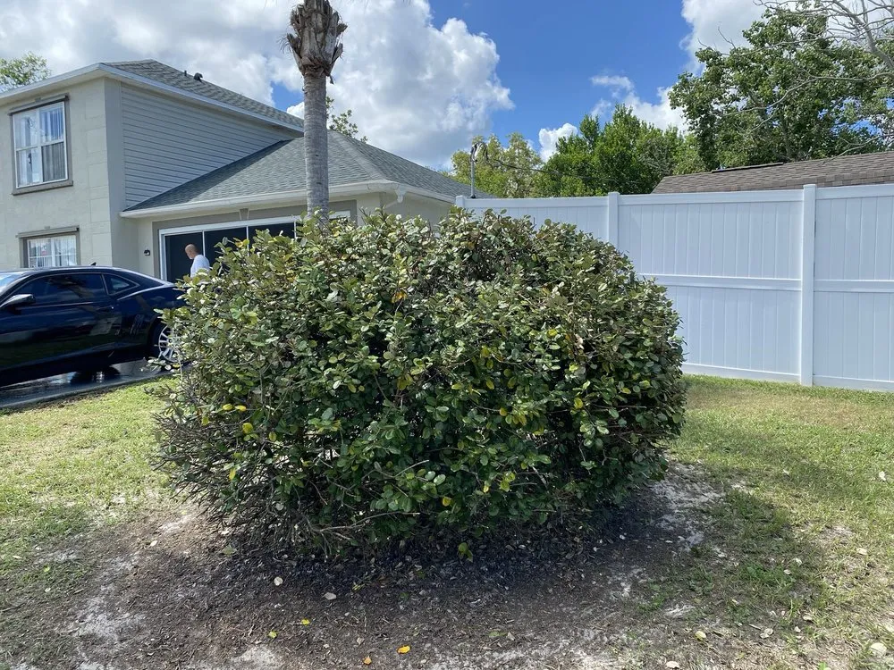 Local lawn care service for year-round maintenance across Spring Hill, FL - Nails Landscape & Design