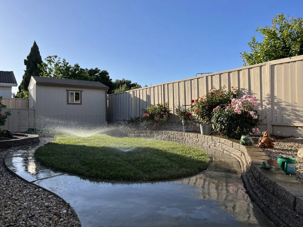 Trusted residential landscaping experts serving Oakland, CA - Naive Gardens