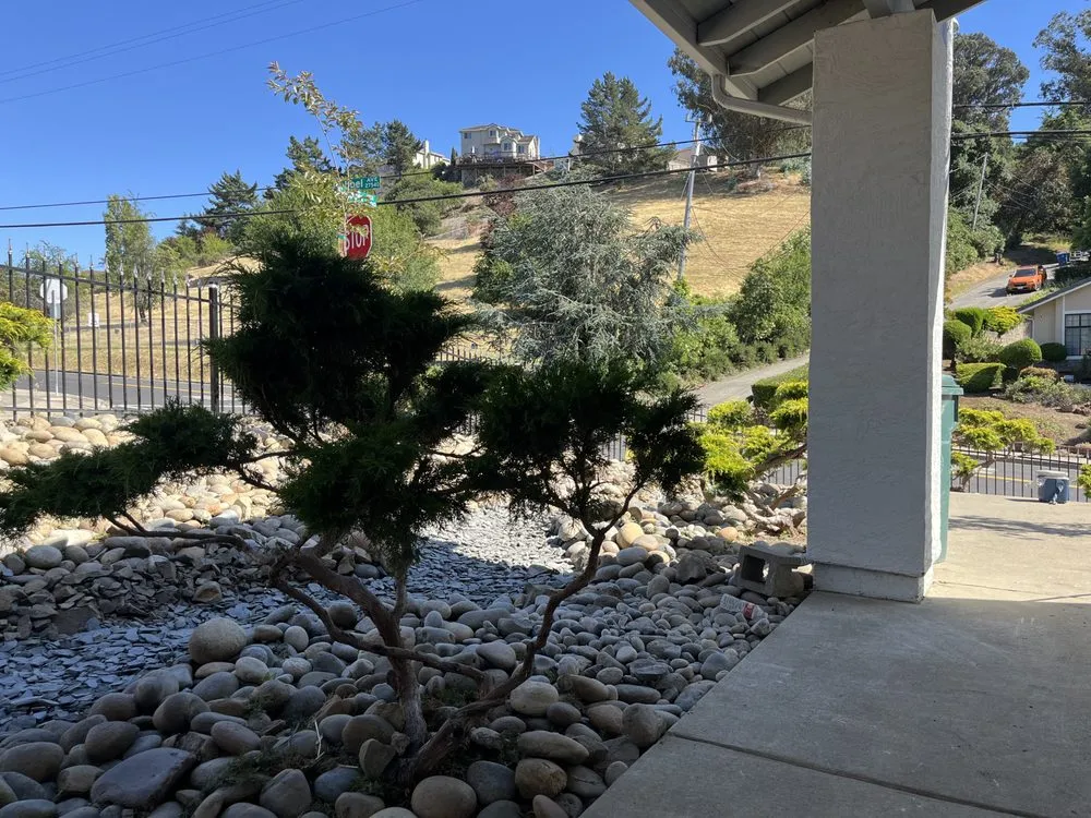 Affordable landscape installation experts serving Oakland, CA - Naive Gardens