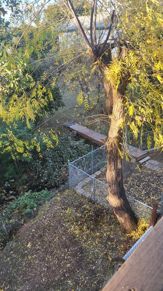 Custom garden landscaping for outdoor upgrades across Oakland, CA - Naive Gardens