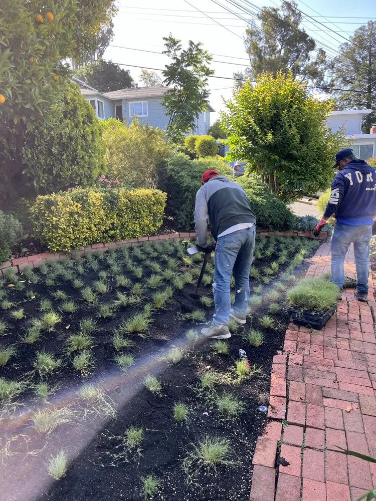 Top-rated outdoor landscaping experts serving Oakland, CA - Naive Gardens