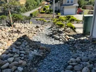 Affordable outdoor landscaping in Oakland, CA - Naive Gardens