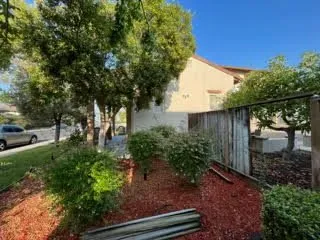 Affordable landscape design experts serving Oakland, CA - Naive Gardens