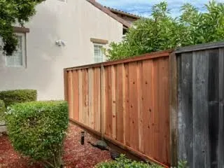 Custom yard cleanup service experts serving Oakland, CA - Naive Gardens