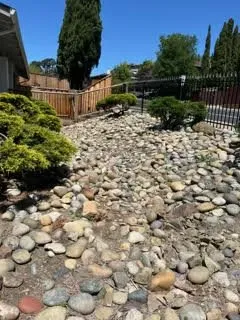 Custom yard cleanup service experts serving Oakland, CA - Naive Gardens