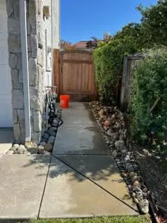 Local landscape installation in Oakland, CA by Naive Gardens