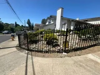 Affordable lawn care service in Oakland, CA - Naive Gardens