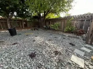 Affordable landscape design in Oakland, CA by Naive Gardens